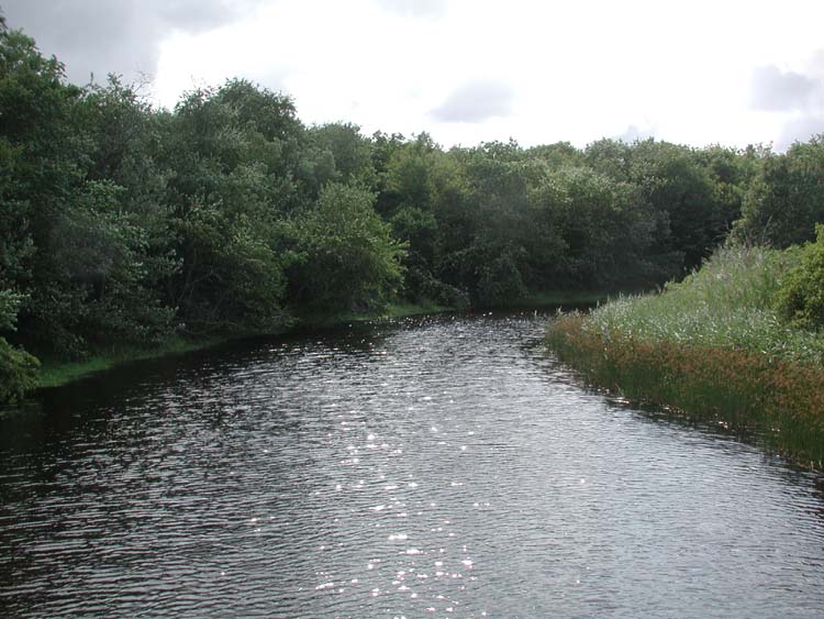 River at Dwyer Farm 7.jpg 83.9K